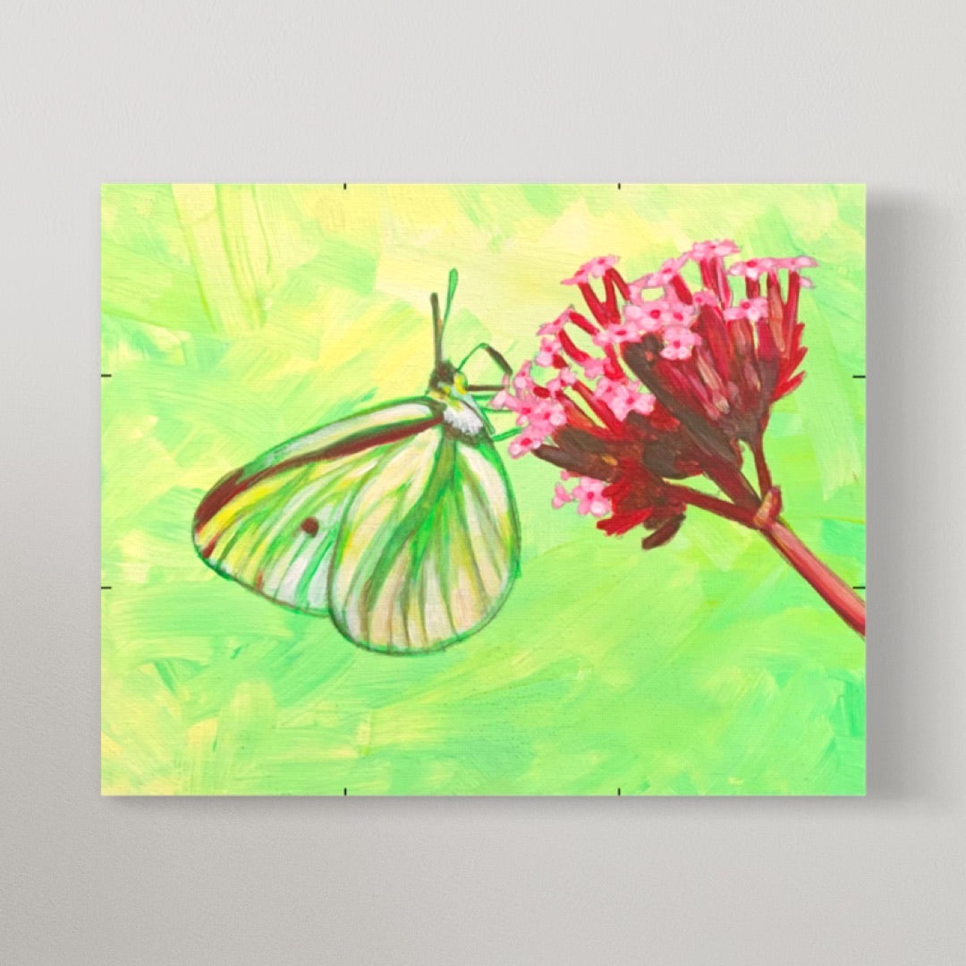 Moth Painting on canvas