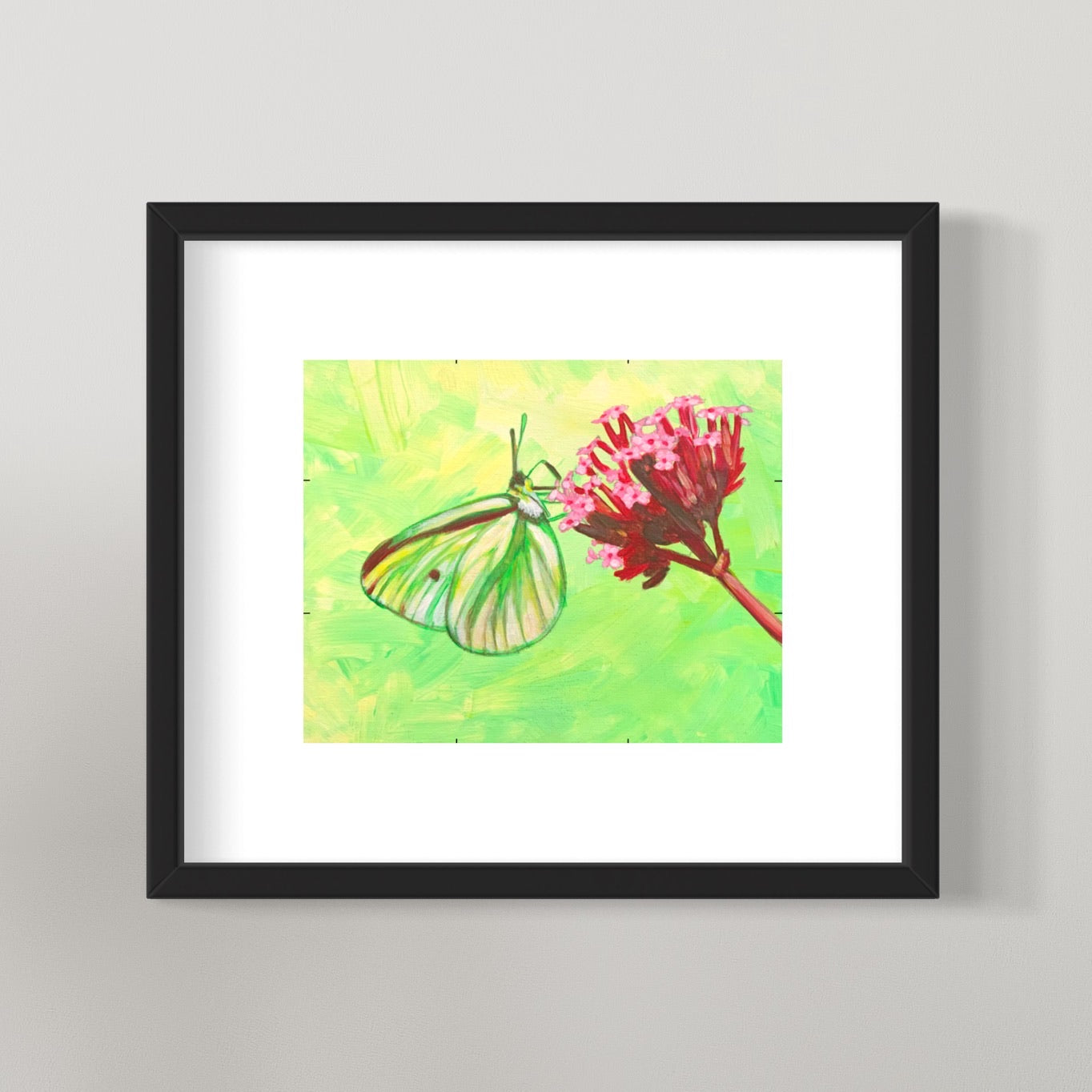 photo of framed Moth Painting